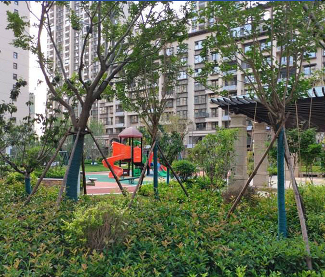 1649729447865047.jpg 2.jpg