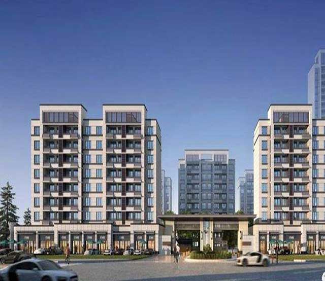 1649749426185951.jpg 5.jpg